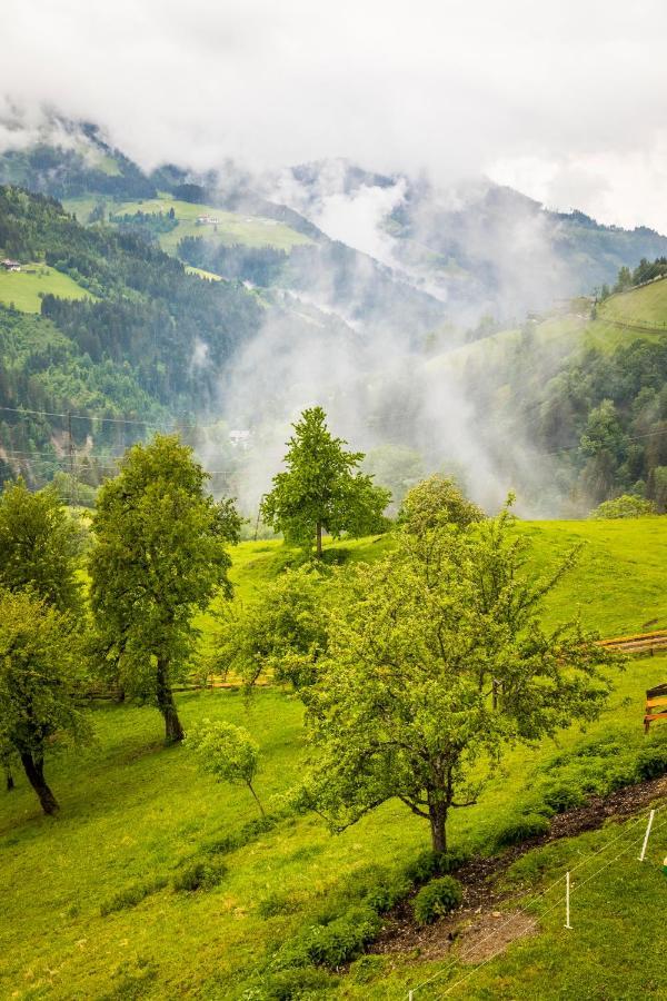 Bio Bauernhof Oberbenk Daire Wagrain Dış mekan fotoğraf