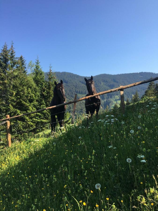 Bio Bauernhof Oberbenk Daire Wagrain Dış mekan fotoğraf