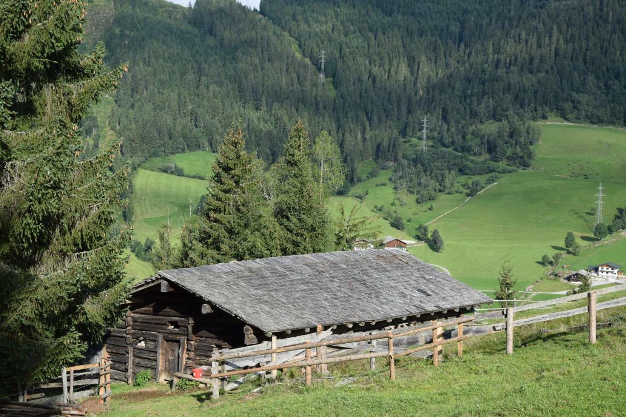 Bio Bauernhof Oberbenk Daire Wagrain Dış mekan fotoğraf