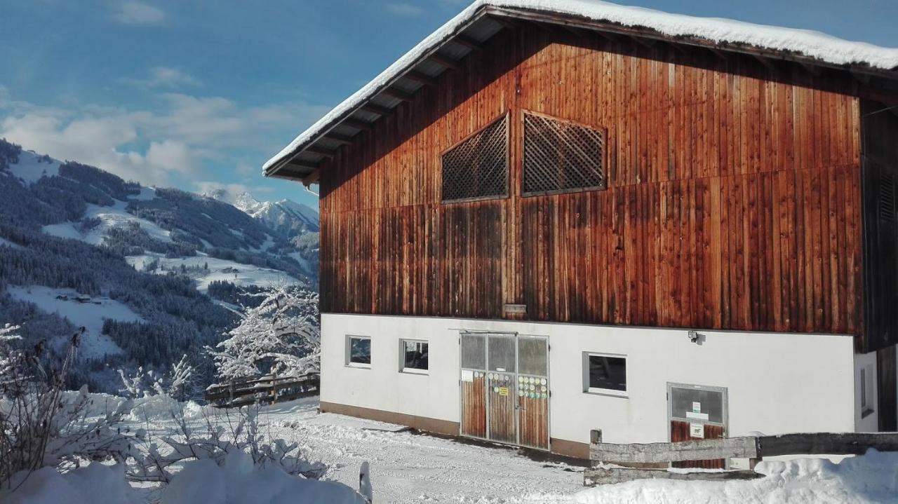 Bio Bauernhof Oberbenk Daire Wagrain Dış mekan fotoğraf